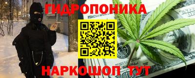 шишки Славгород
