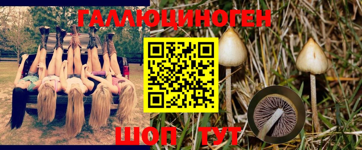 Галлюциногенные грибы ЛСД  где купить наркотик  Наро-Фоминск  Вход с VPN  Псилоцибиновые грибы Psilocybe 