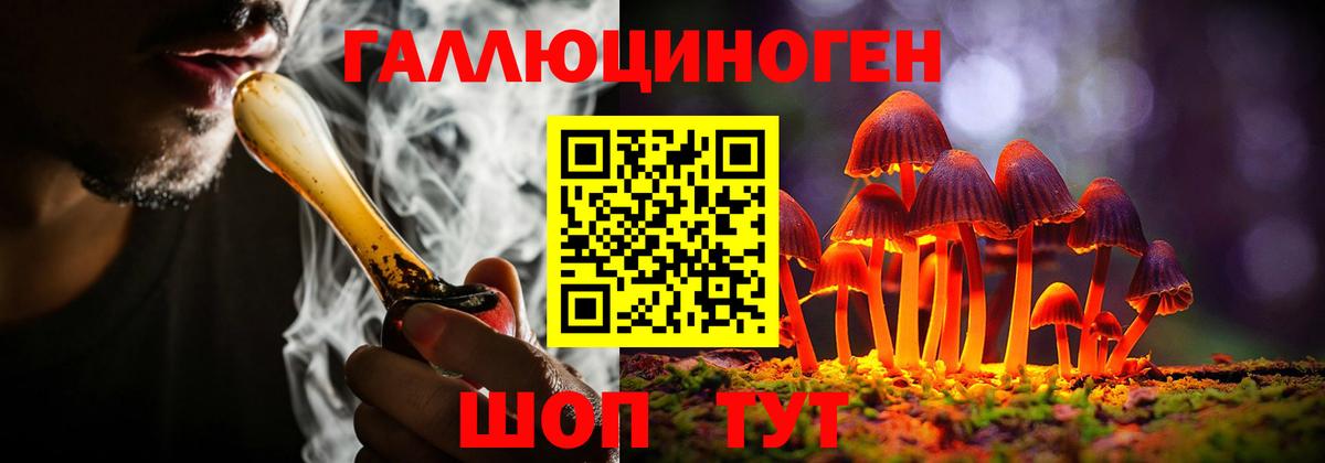 Псилоцибиновые грибы Cubensis Наро-Фоминск